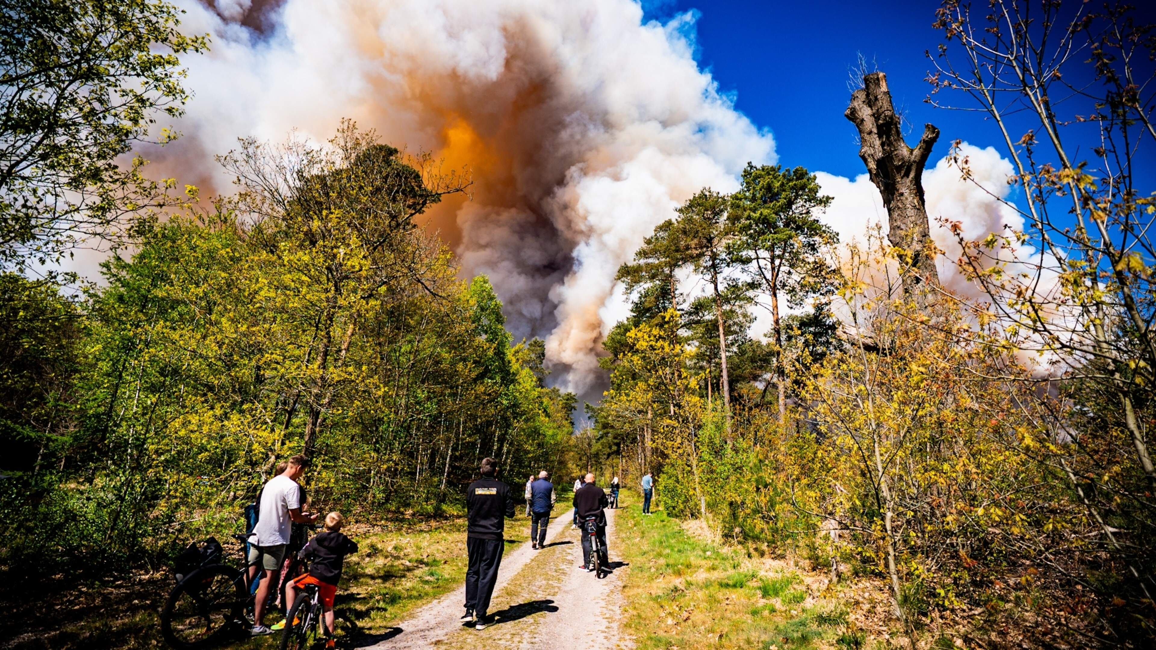 LIVE | Brandweer slaat alarm: verhoogd risico op natuurbrand in bijna heel Nederland